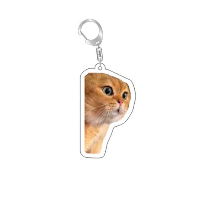 Chaveiro de Cabeça de Gato com - Badminton Meme avaliação e preço