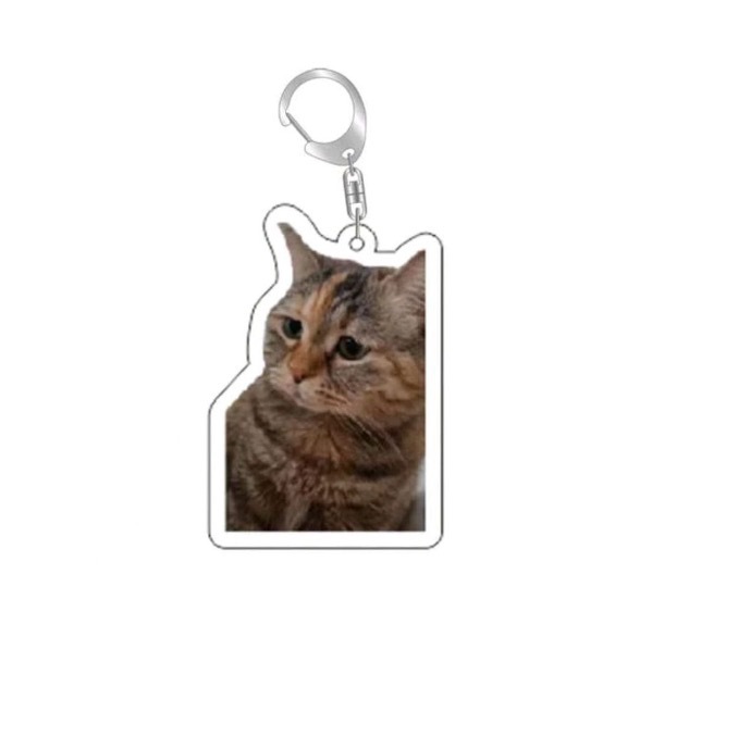 Chaveiro de Cabeça de Gato com - Badminton Meme avaliação e preço